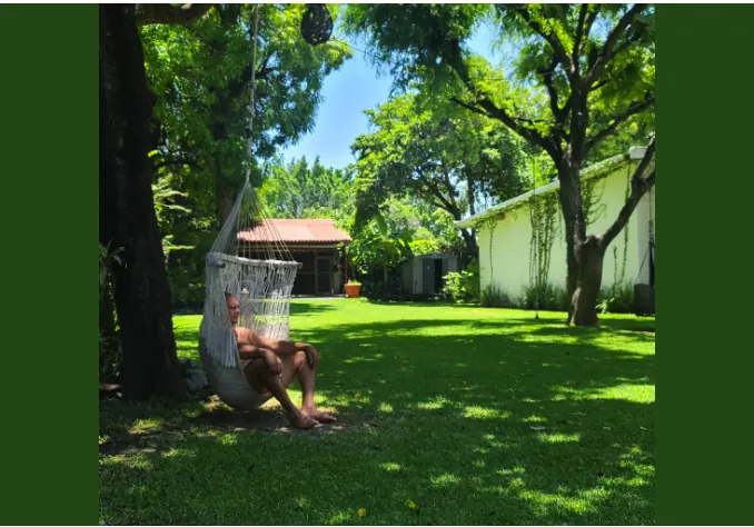 Hamaca bajo los árboles en el jardín